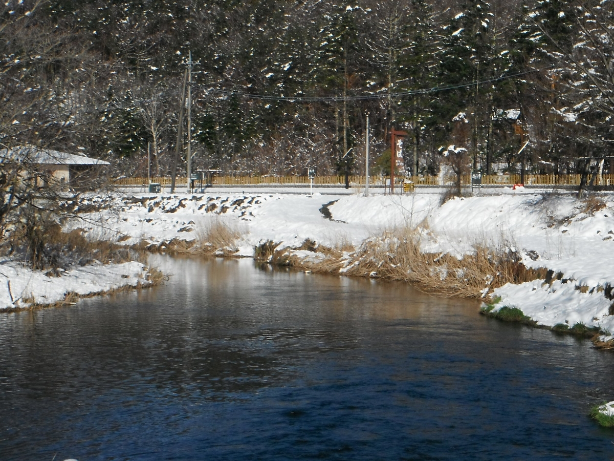 フライフィッシングで有名な忍野の状況を記載しています 19年4月11日の忍野 雪が残っていますがコンディションは良好です